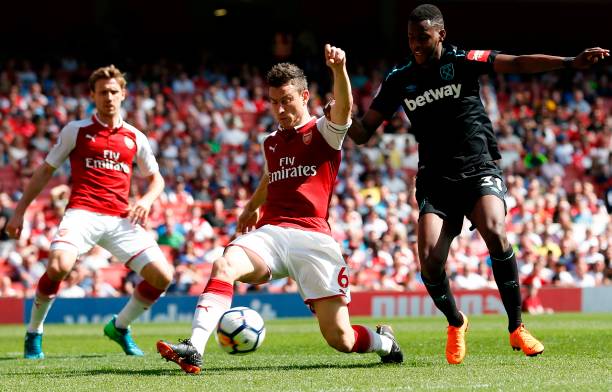 色彩和独特 色彩和独特