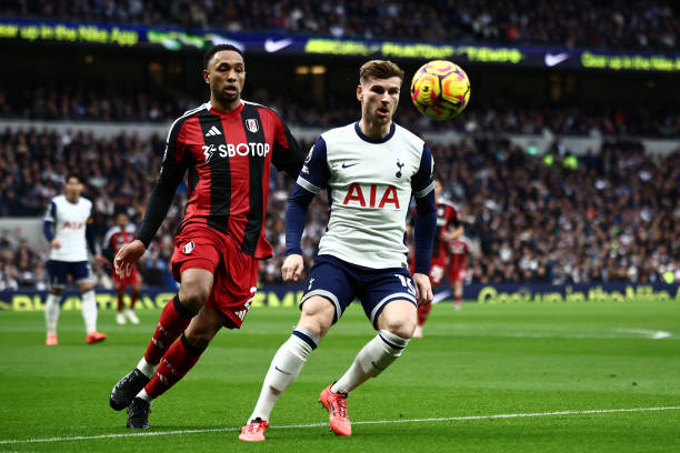 森林队希望 森林队希望