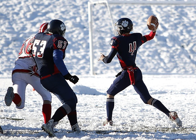 他在RB莱 他在RB莱